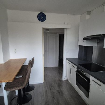 Appartement Spacieux & Paisible Meythet Bagian luar foto